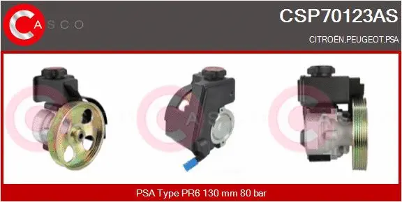 Hydraulic Pump, steering (CSP70123AS)