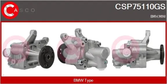 Hydraulic Pump, steering (CSP75110GS)