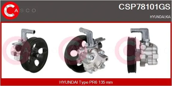 Hydraulic Pump, steering (CSP78101GS)
