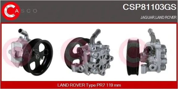 Hydraulic Pump, steering (CSP81103GS)