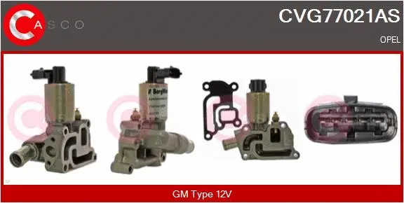 EGR Valve (CVG77021AS)
