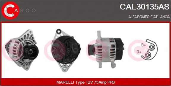 Alternator (CAL30135AS)