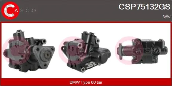Hydraulic Pump, steering (CSP75132GS)