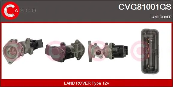 EGR Valve (CVG81001GS)