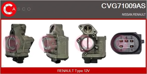 EGR Valve (CVG71009AS)