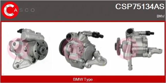 Hydraulic Pump, steering (CSP75134AS)