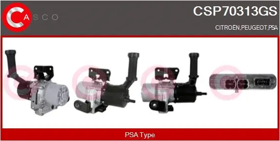 Hydraulic Pump, steering (CSP70313GS)