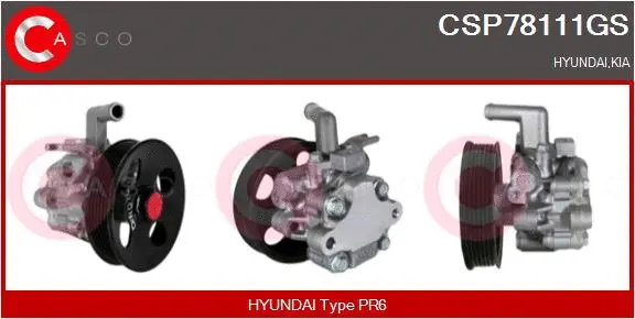Hydraulic Pump, steering (CSP78111GS)