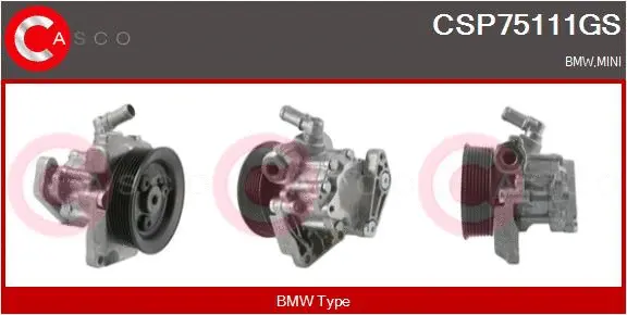 Hydraulic Pump, steering (CSP75111GS)