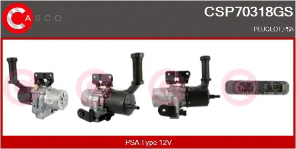 Hydraulic Pump, steering (CSP70318GS)