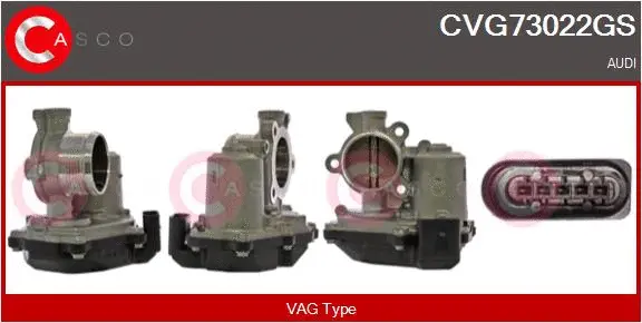 EGR Valve (CVG73022GS)