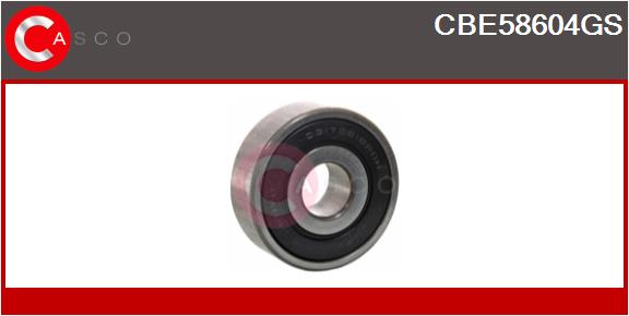 Bearing (CBE58604GS)