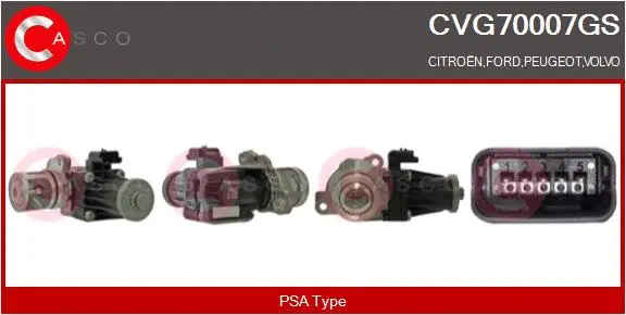 EGR Valve (CVG70007GS)
