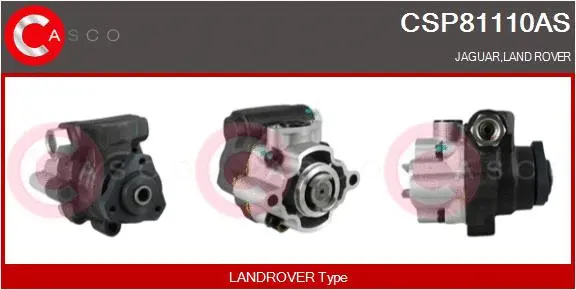 Hydraulic Pump, steering (CSP81110AS)