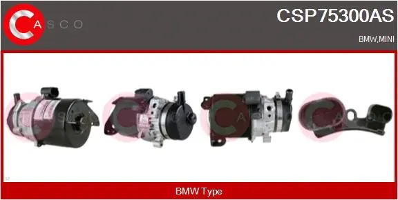 Hydraulic Pump, steering (CSP75300AS)