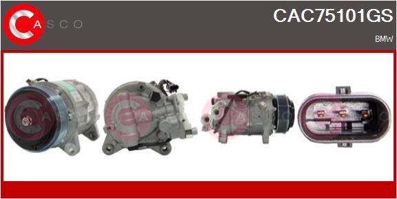 Compressor, air conditioning (CAC75101GS)