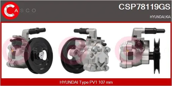Hydraulic Pump, steering (CSP78119GS)