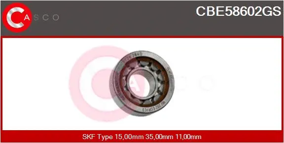 Bearing (CBE58602GS)