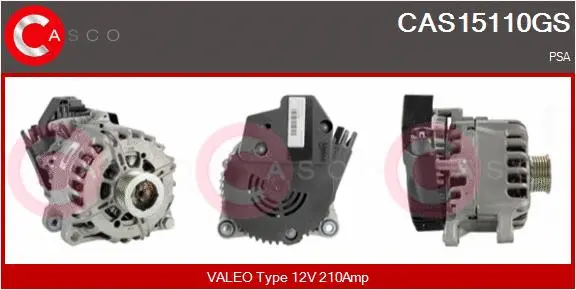 Alternator, starter (CAS15110GS)