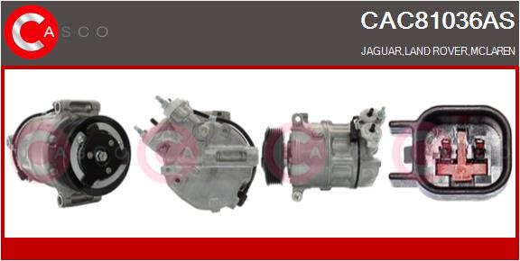 Compressor, air conditioning (CAC81036AS)