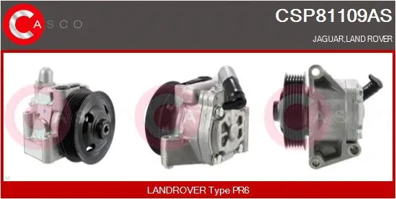 Hydraulic Pump, steering (CSP81109AS)