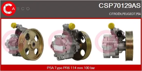 Hydraulic Pump, steering (CSP70129AS)