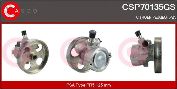 Hydraulic Pump, steering (CSP70135GS)