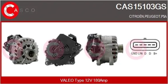 Alternator, starter (CAS15103GS)