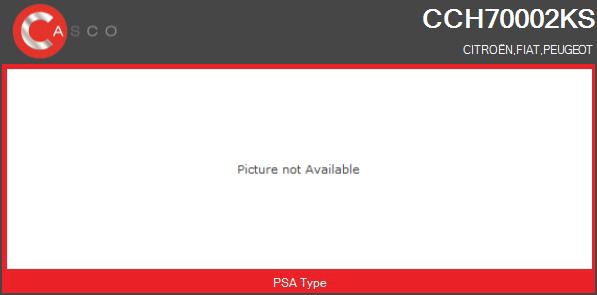 Core assembly, turbocharger (CCH70002KS)