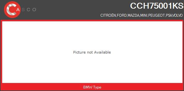 Core assembly, turbocharger (CCH75001KS)