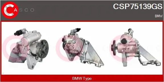 Hydraulic Pump, steering (CSP75139GS)