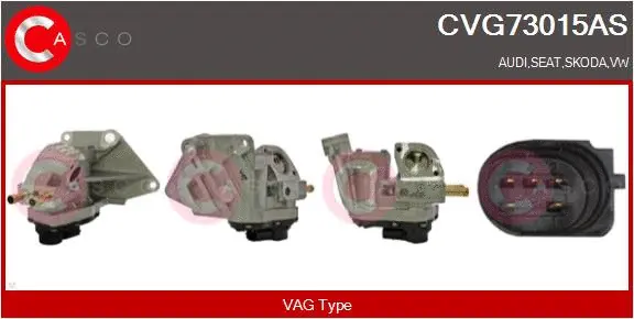 EGR Valve (CVG73015AS)
