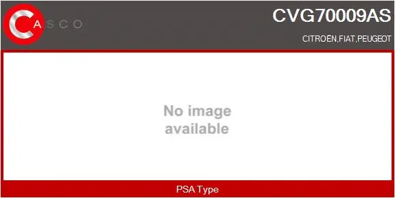 EGR Valve (CVG70009AS)