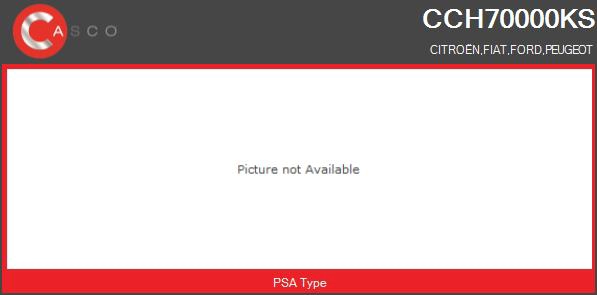 Core assembly, turbocharger (CCH70000KS)