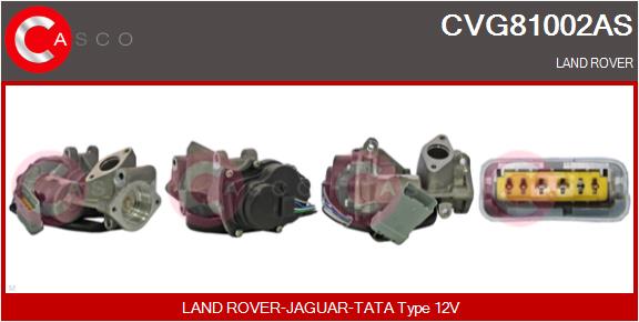 EGR Valve (CVG81002AS)