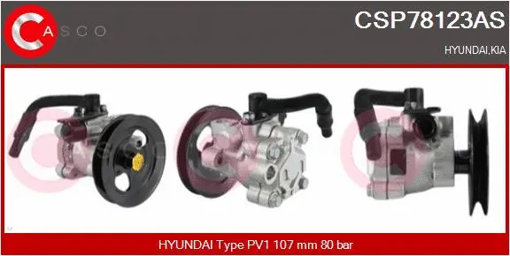 Hydraulic Pump, steering (CSP78123AS)
