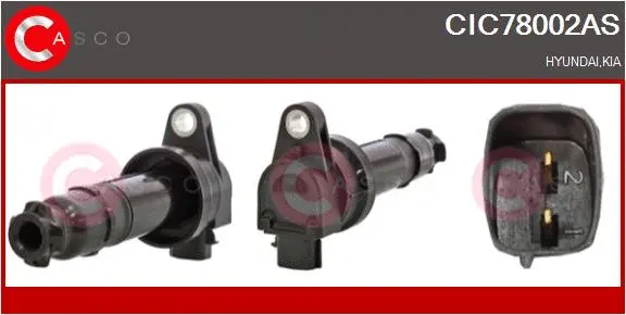 Ignition Coil (CIC78002AS)