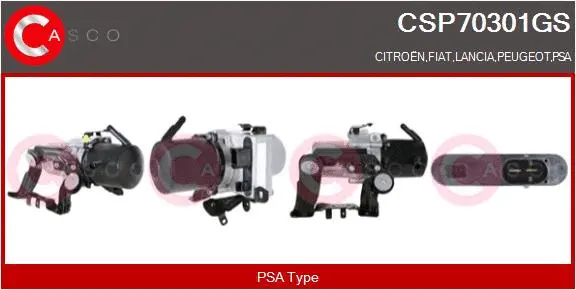 Hydraulic Pump, steering (CSP70301GS)