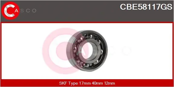 Bearing (CBE58117GS)