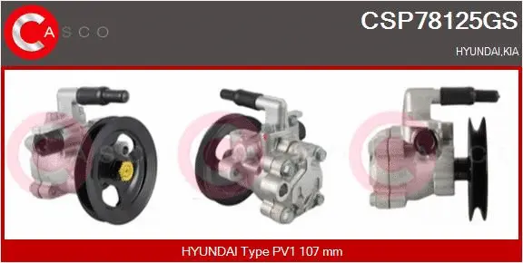 Hydraulic Pump, steering (CSP78125GS)