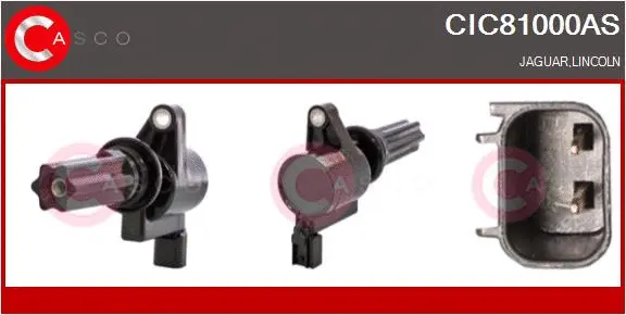 Ignition Coil (CIC81000AS)