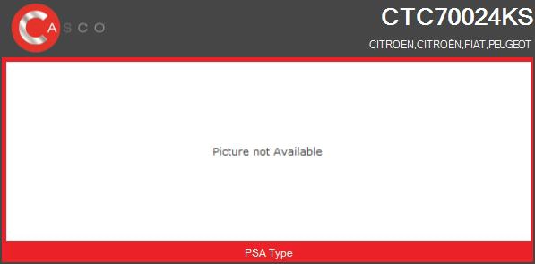 Charger, charging (supercharged/turbocharged) (CTC70024KS)