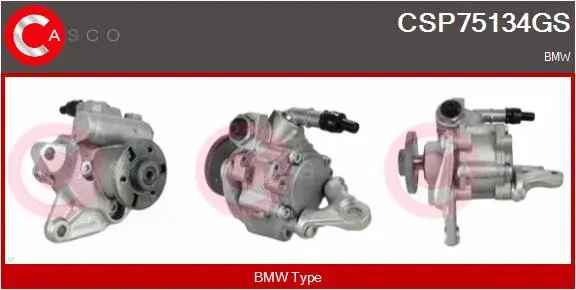 Hydraulic Pump, steering (CSP75134GS)