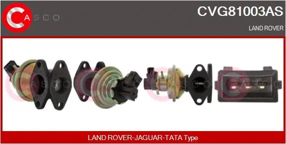EGR Valve (CVG81003AS)