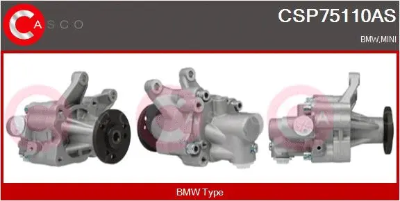Hydraulic Pump, steering (CSP75110AS)