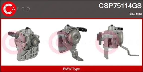 Hydraulic Pump, steering (CSP75114GS)