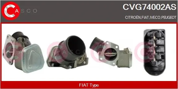EGR Valve (CVG74002AS)
