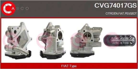 EGR Valve (CVG74017GS)