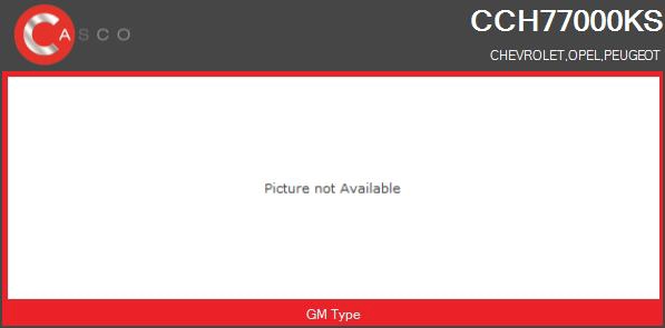 Core assembly, turbocharger (CCH77000KS)