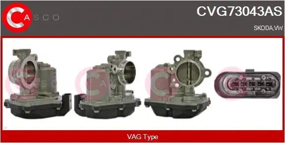 EGR Valve (CVG73043AS)